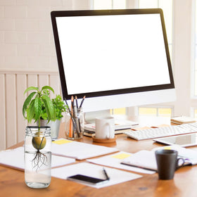 Tyqour home office gardening decor enhances desk spaces with practical propagation.