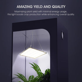 Uallhome 2-pack closeup diode arrays showcase modern LED tech for growth