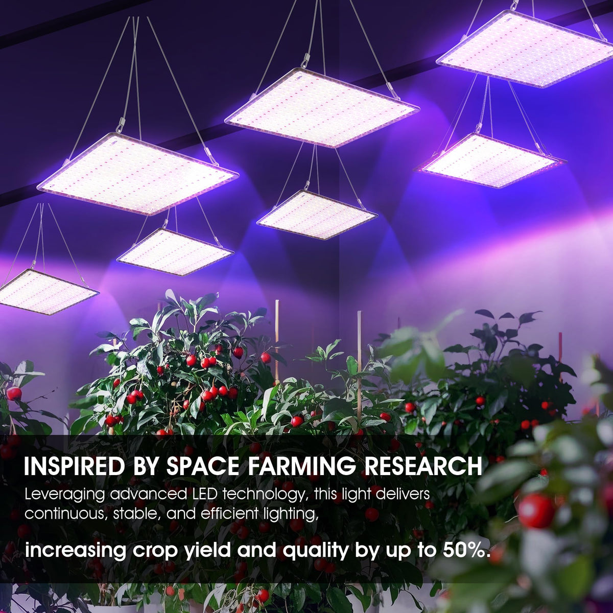 Uallhome 2-pack ideal for veg and bloom stages in grow tents
