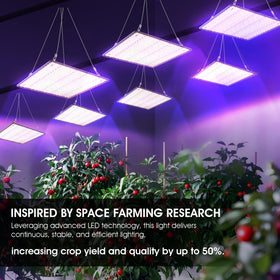 Uallhome 2-pack ideal for veg and bloom stages in grow tents