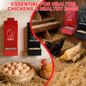 UAYNFY calcium and grit support gizzard function and shell quality.