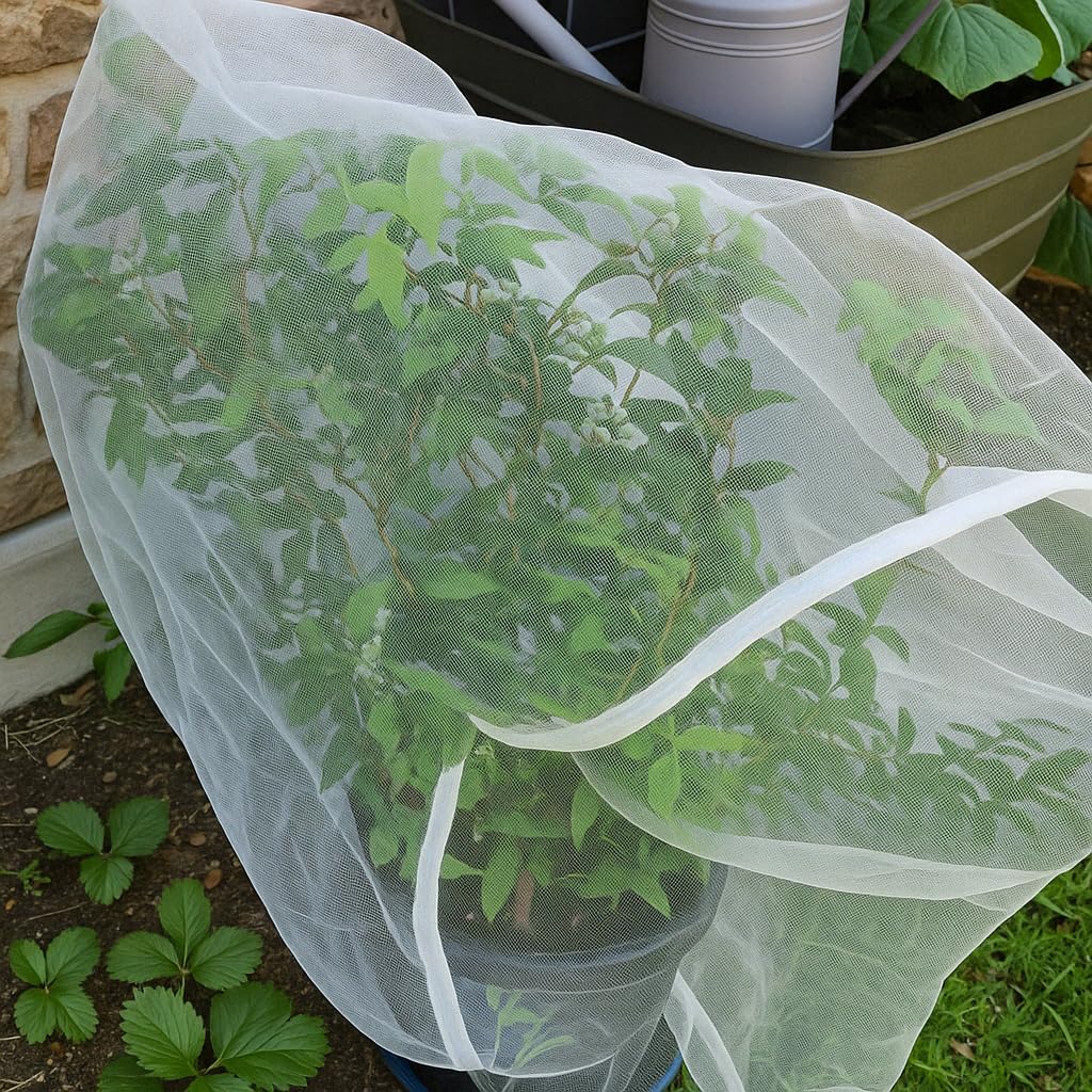 UB-STORE tomato and berry coverage net protects crops in greenhouse and yard settings.