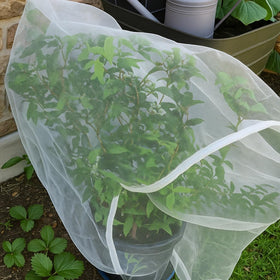 UB-STORE tomato and berry coverage net protects crops in greenhouse and yard settings.