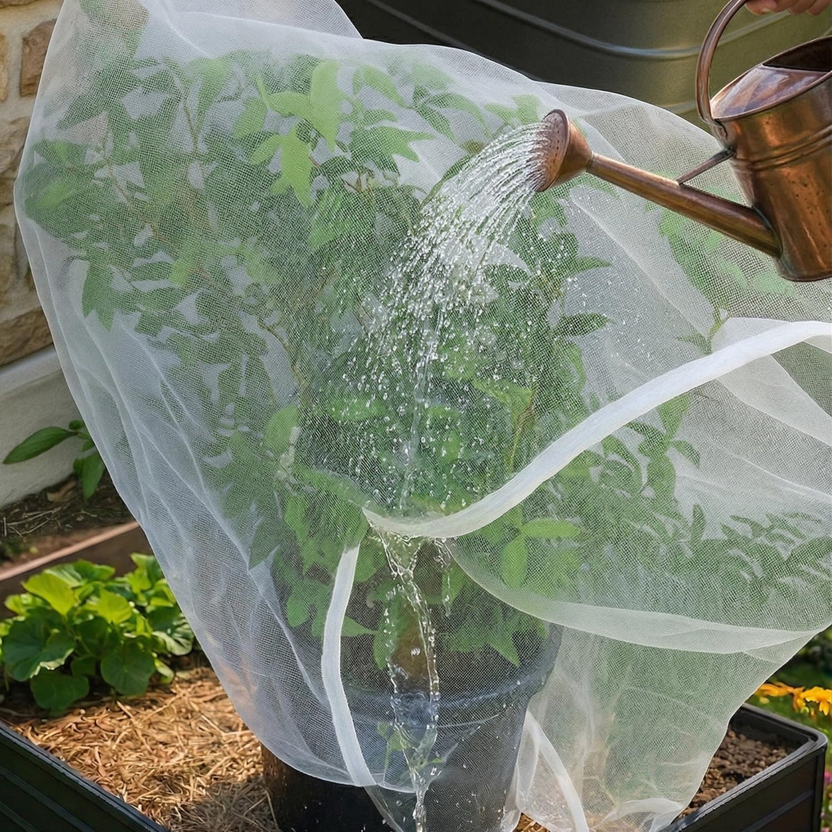 UB-STORE bag on a branch protecting fruit during growth