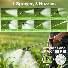 Telescopic wand extends to 39.3 inches for hard-to-reach areas.