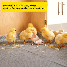 UCandy Chick starter kit with 15 liners supports easy maintenance.