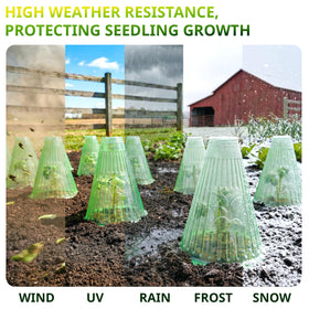UCandy cloche shields seedlings from birds and sun for healthy outdoor growth