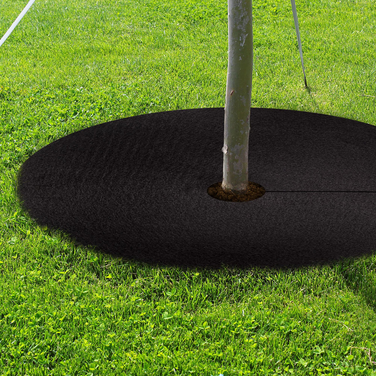 UCandy easy-install tree ring fits around the base quickly.