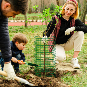UCandy easy-install garden cages wrap around stems and secure with minimal effort