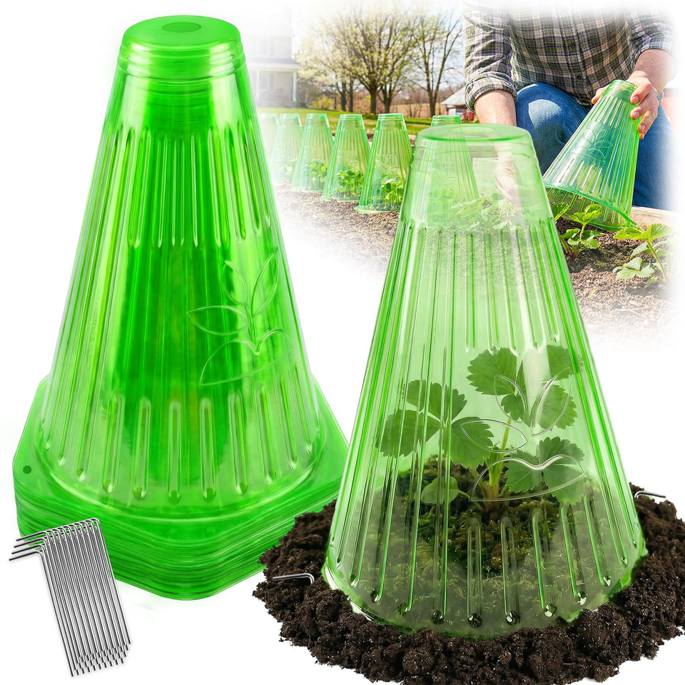 UCandy garden cloche set over seedlings protecting young plants and promoting steady growth