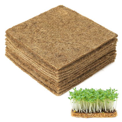 UCandy jute grow mat in use for even moisture and quick sprouting