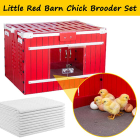 UCandy Leakproof lining prevents spills and keeps the brooder tidy.
