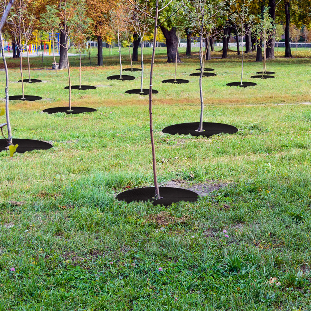 UCandy new-tree protection ring with easy sizing and cut-to-fit capability.