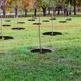 UCandy new-tree protection ring with easy sizing and cut-to-fit capability.