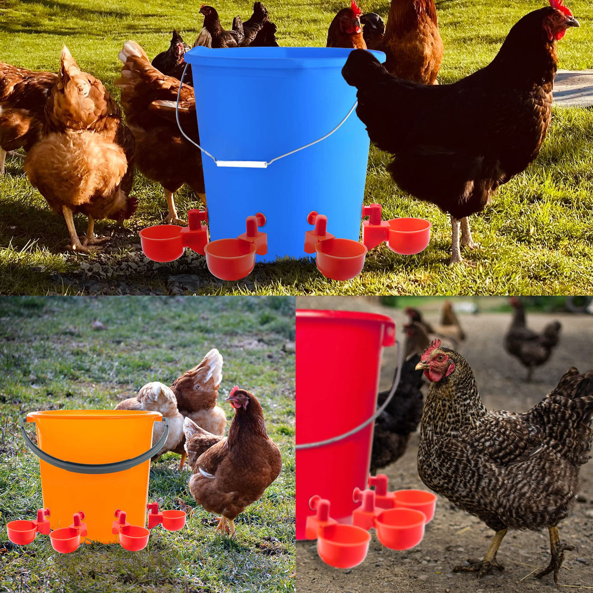 UCandy waterer cups with 3/8-inch thread for easy container integration