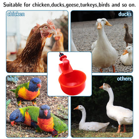 Durable PVC UCandy waterer cups with large capacity for steady hydration