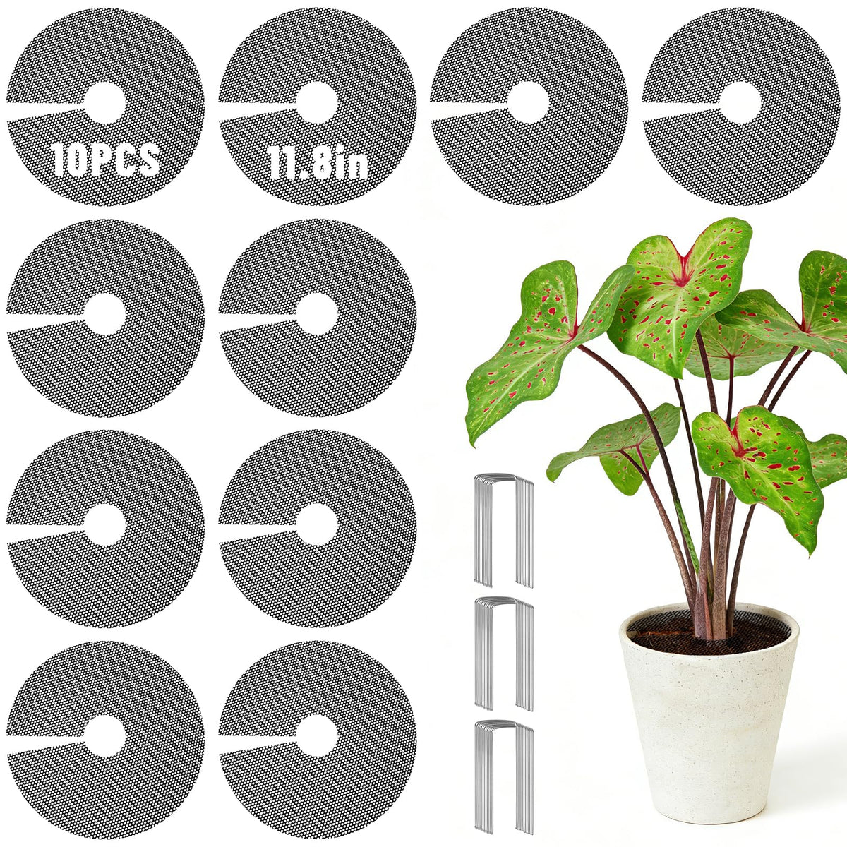 UCandy plant pot grids protect potted plants from pets and keep soil tidy.