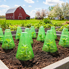 UCandy seven-shaped metal stakes secure the cloche against wind and wildlife