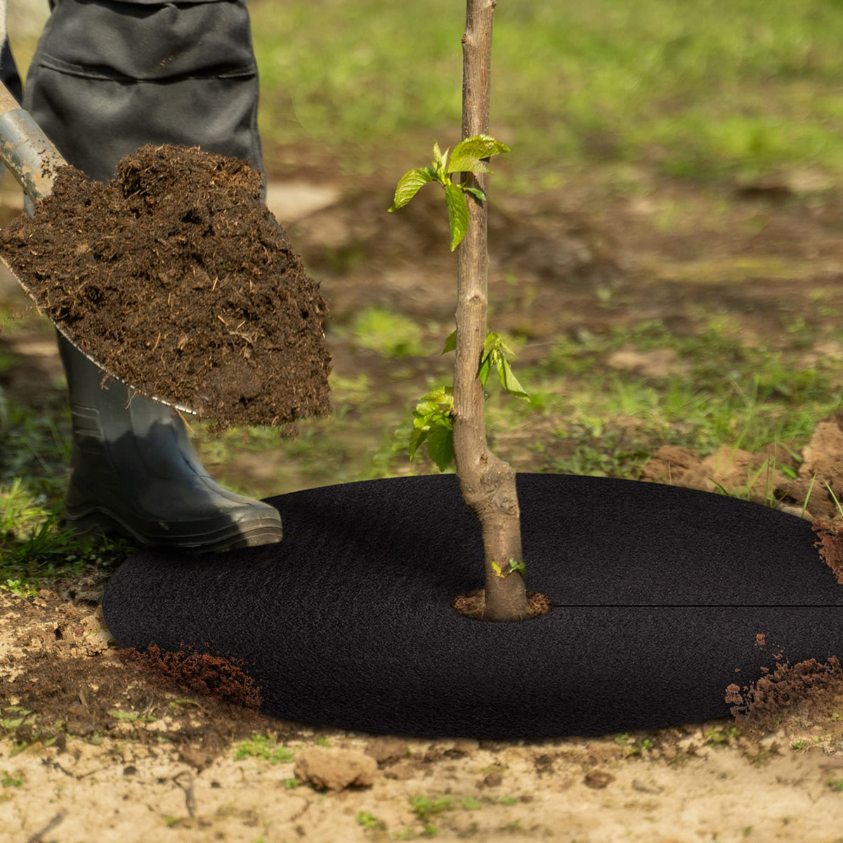 UCandy tree root protection ring stabilizing soil at the tree base.