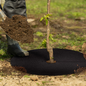 UCandy tree root protection ring stabilizing soil at the tree base.