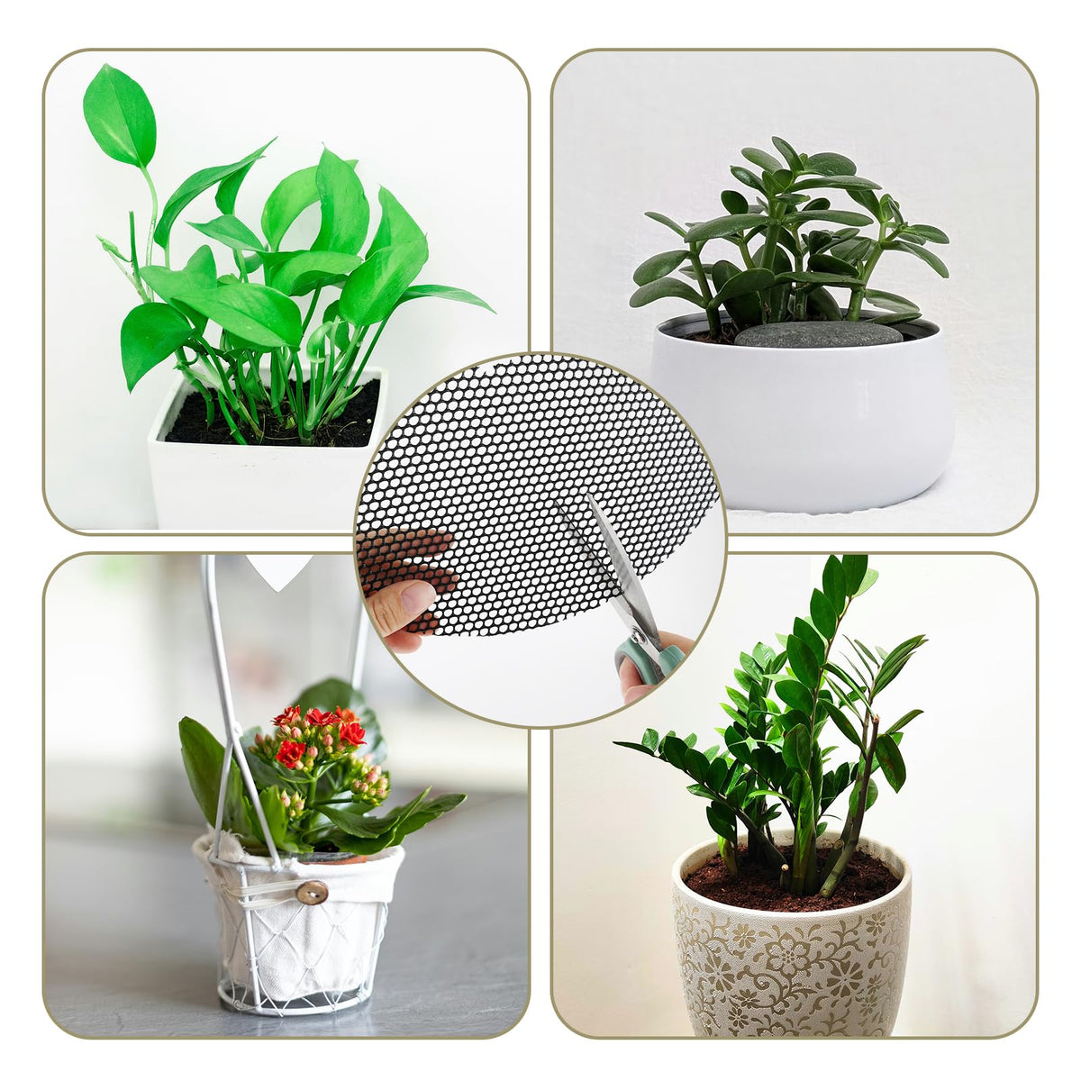 UCandy grid promotes ventilation and even watering around roots.