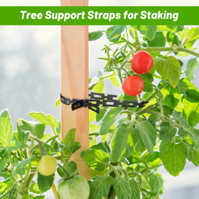 UCandy waterproof tree tie material withstands rain and sun for long lasting use.