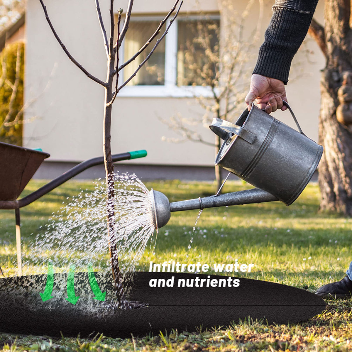 UCandy weed barrier ring protects roots from mower damage and competition.