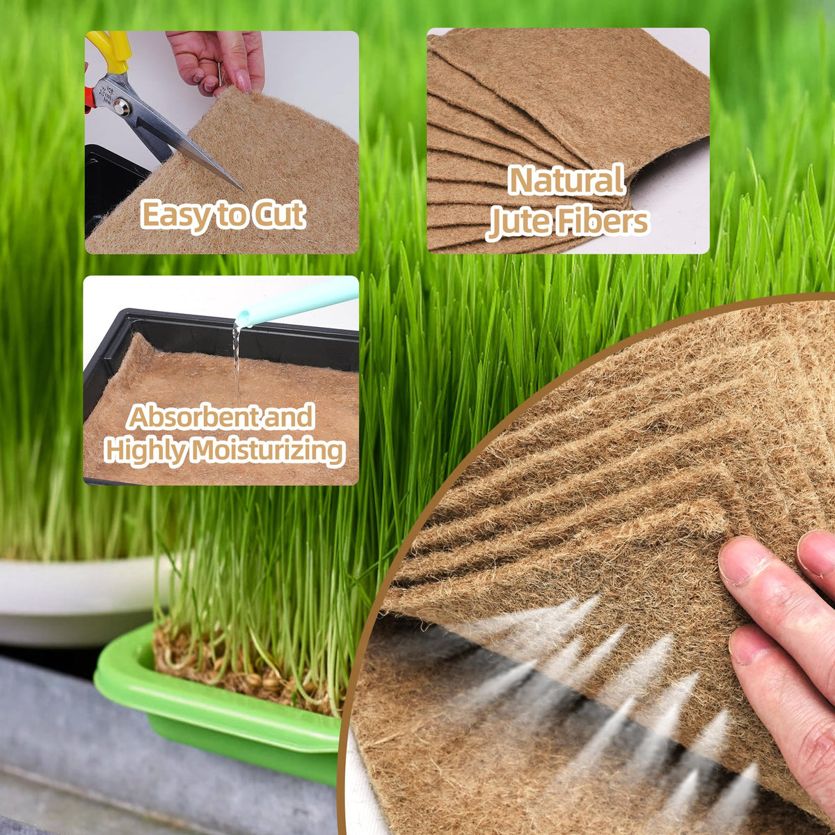 UCandy wheatgrass seed-start pad ideal for fast sprouting