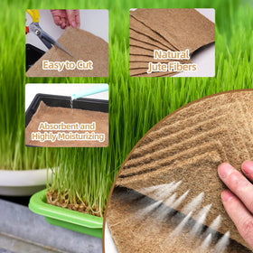 UCandy wheatgrass seed-start pad ideal for fast sprouting