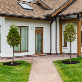 UCandy versatile rings suit gardens, nurseries, and landscaping projects.