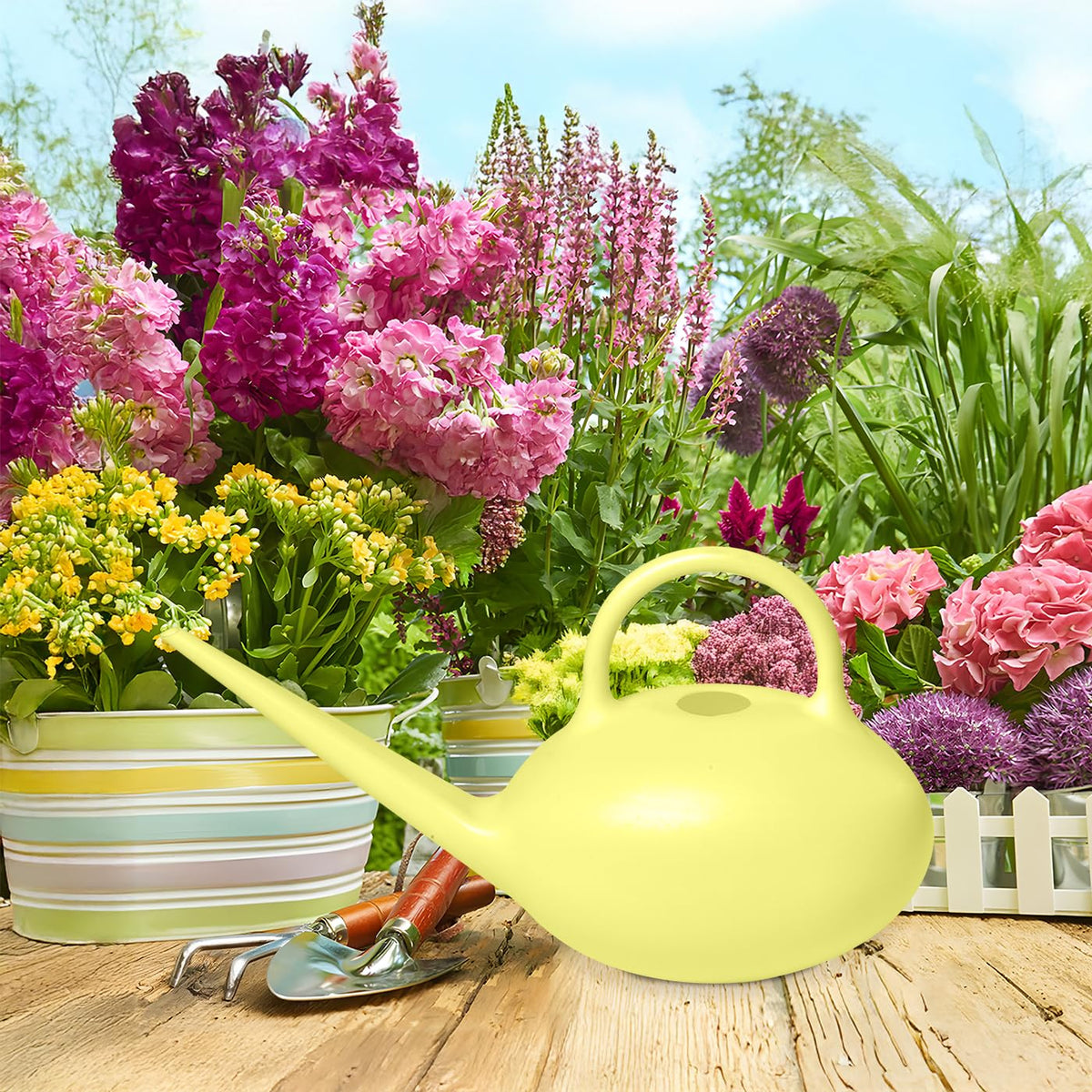 UFANME 32 oz capacity plant watering can for small indoor gardens