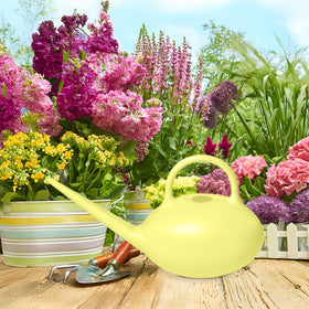 UFANME 32 oz capacity plant watering can for small indoor gardens