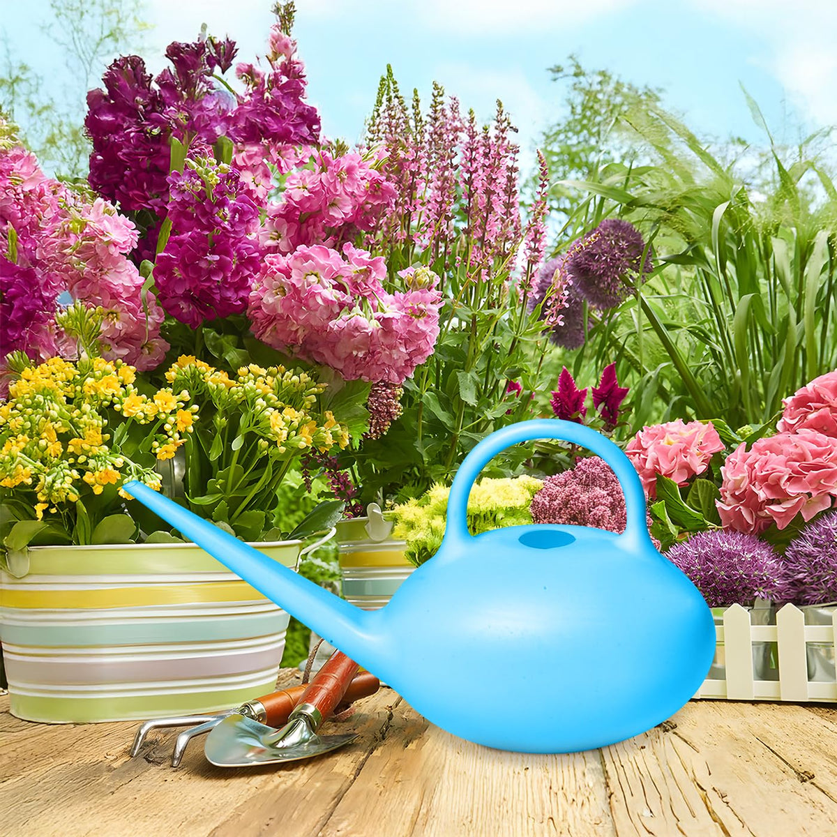 UFANME watering can blue in use with small indoor plants.