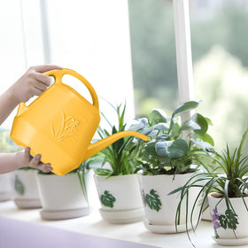 UFANME compact half-gallon size fits small-space plant care