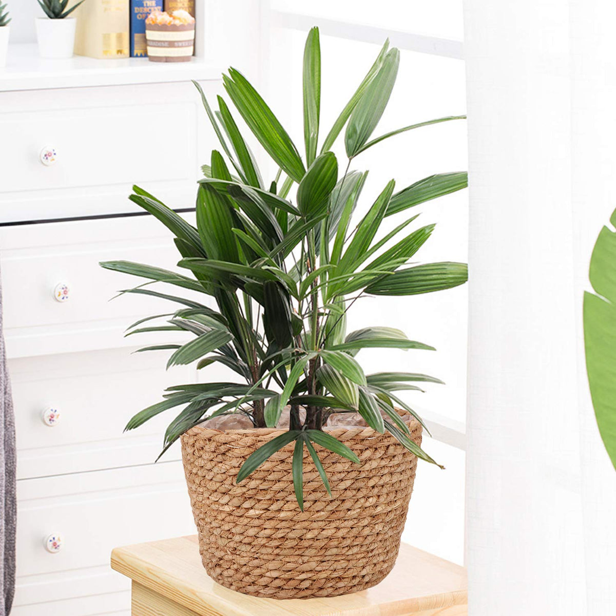 Ufrount Seagrass Planter Basket used for storage of cosmetics and small items.
