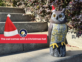 Ugold owl silent mode lets you enjoy decor quietly.