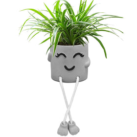 Uguisu smiley cement planter in gray adds cheerful desk decor.