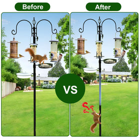 Bird feeder protected by the clear anti-climb wrap.