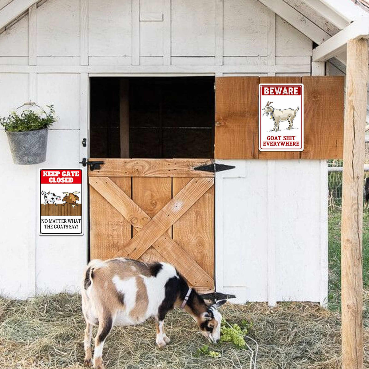 uhdvwtp goat sign close-up reveals rolled edge for safe handling