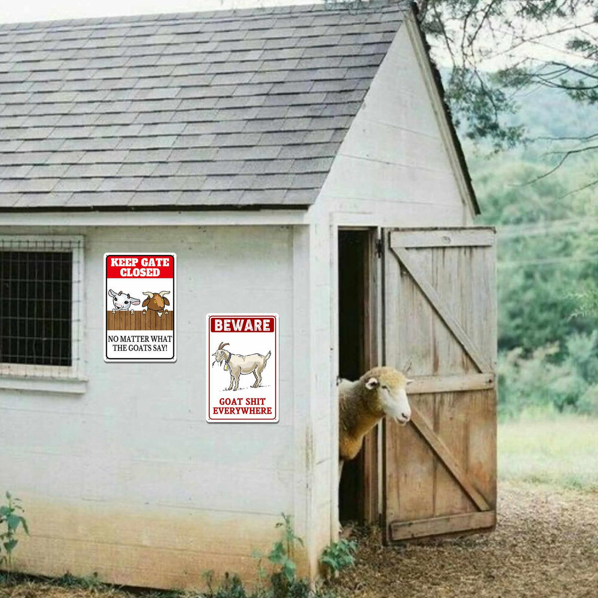 uhdvwtp goat sign gift-ready display enhances goat space decor
