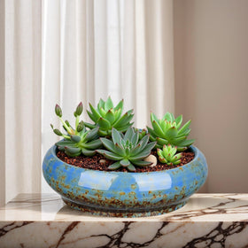 Uikherxn ceramic planter with blue glaze suits modern living rooms.