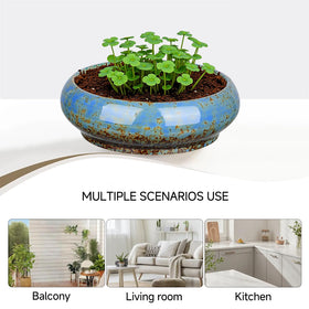 Uikherxn gift-ready succulent planter in blue for gardening enthusiasts.