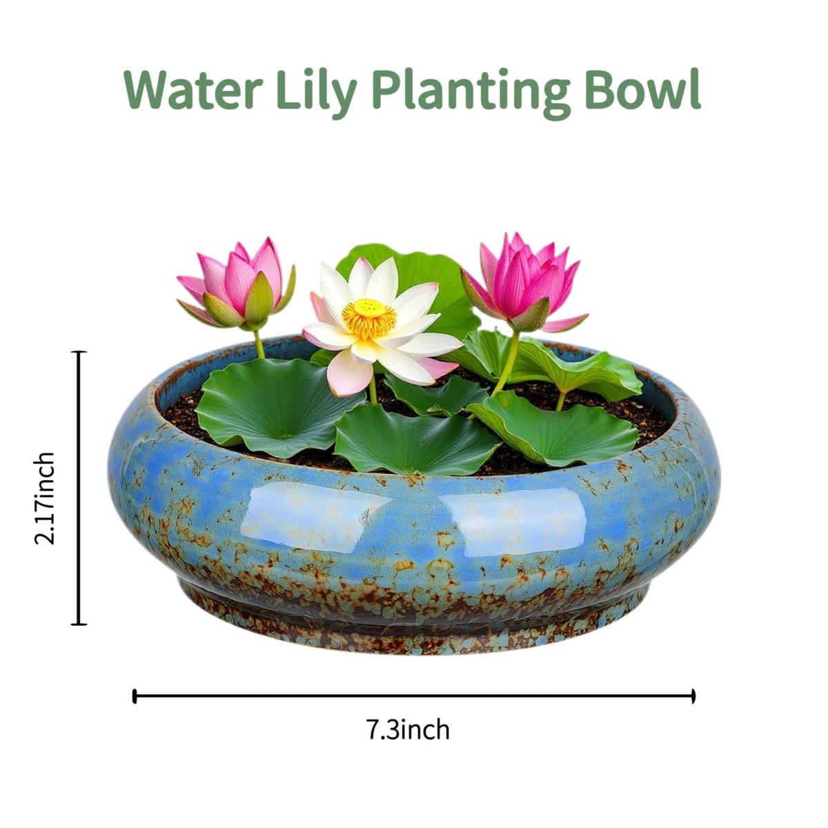 Uikherxn water lily pot supports indoor and outdoor use.