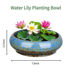 Uikherxn water lily pot supports indoor and outdoor use.