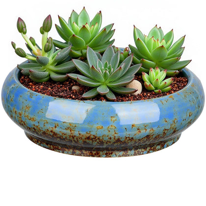 Uikherxn succulent planter blue lotus bowl 7.3 inches, ideal for desk display.