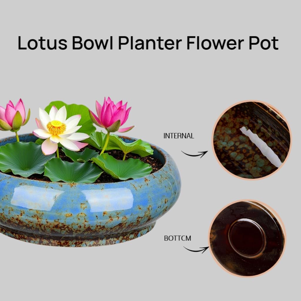 Uikherxn lotus bowl planter suitable for succulents and small plants.