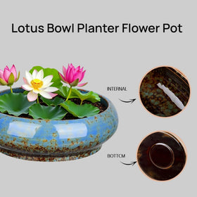 Uikherxn lotus bowl planter suitable for succulents and small plants.