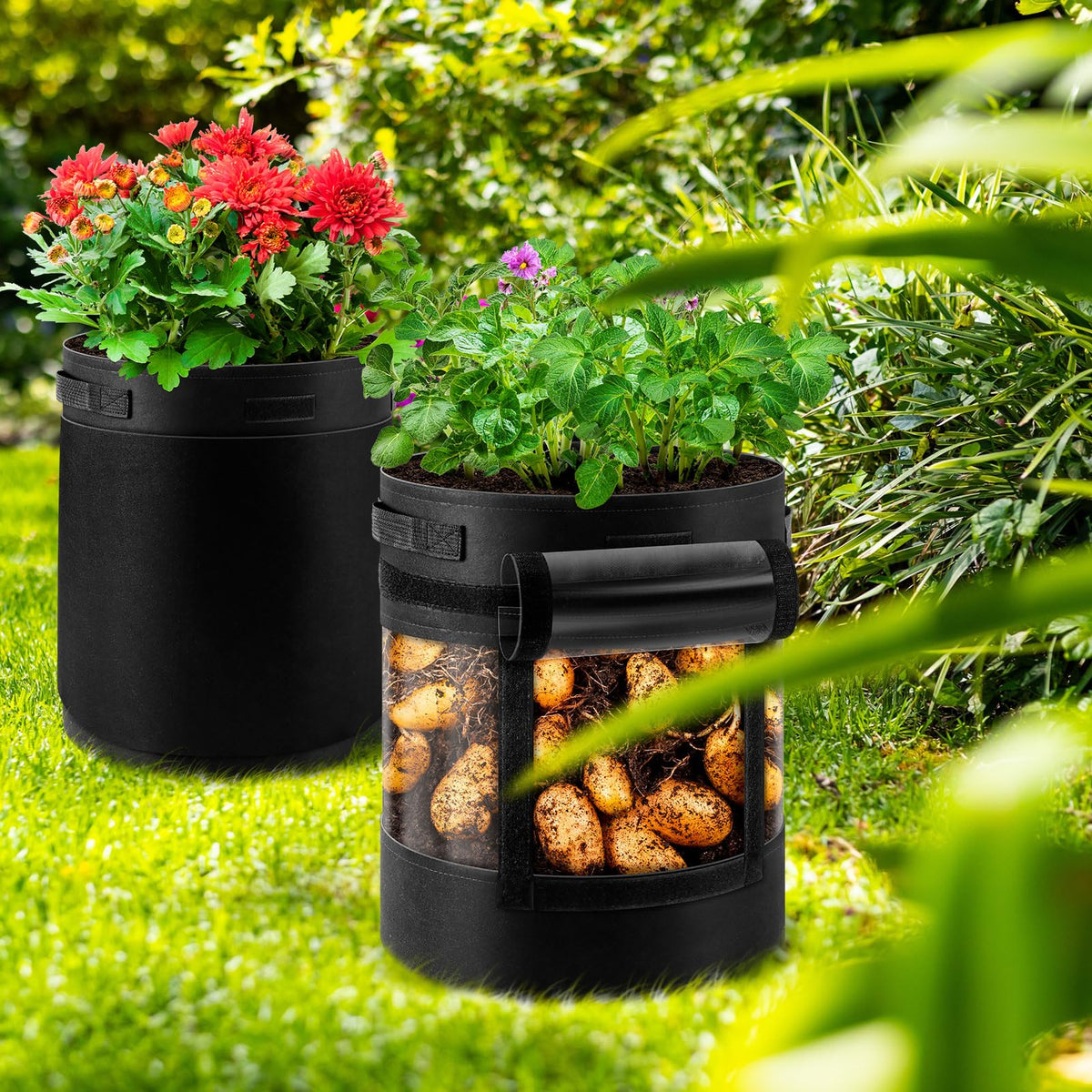 UJG versatile plant container for potatoes, tomatoes, and more.