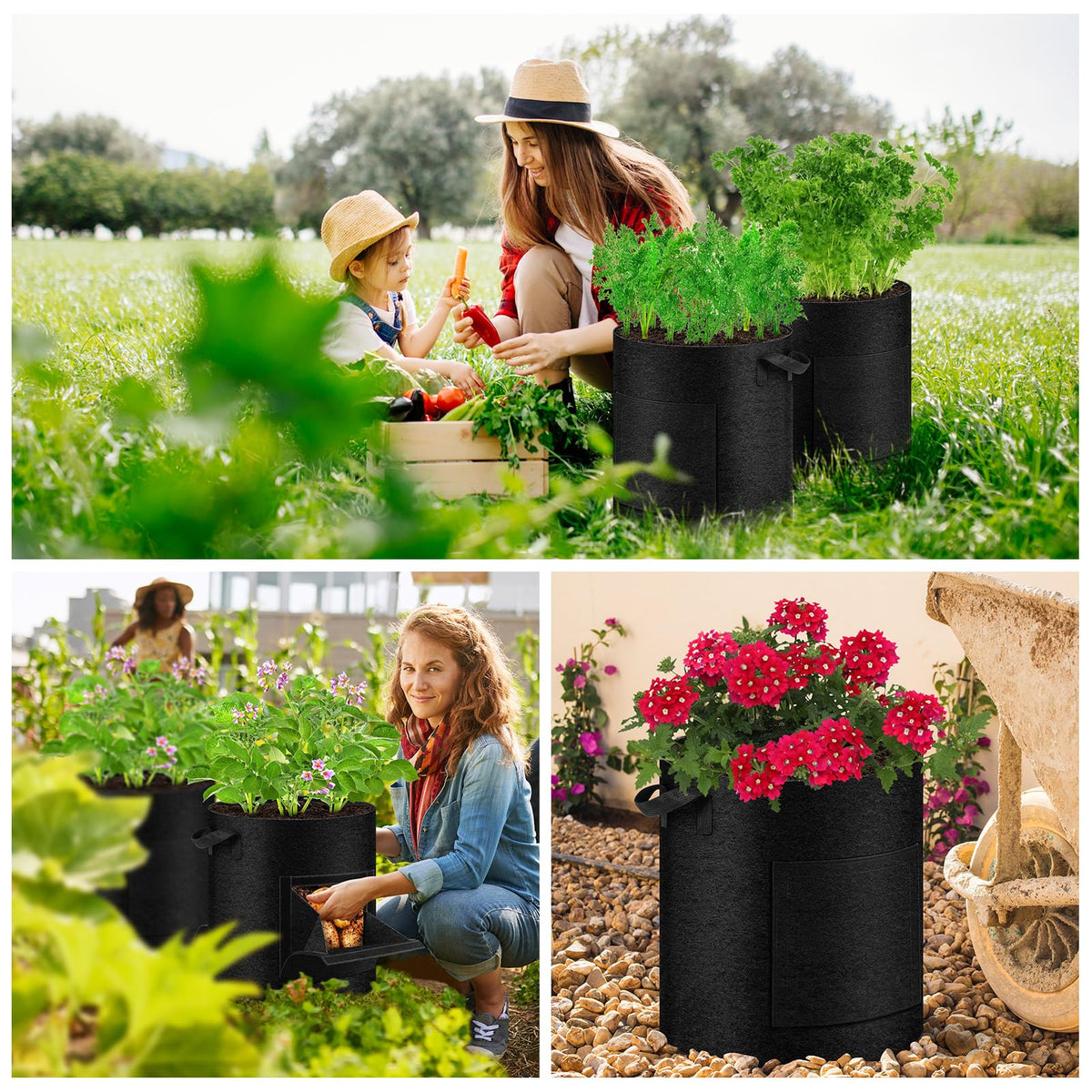 UJG suitable for various indoor outdoor plants like potatoes and strawberries