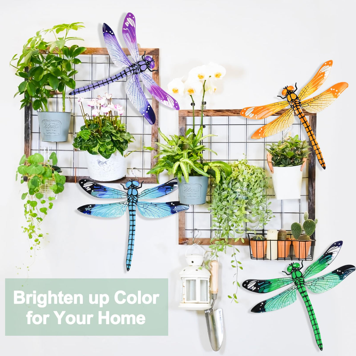 ULENDIS dragonfly wall decor brightens indoor living rooms with nature-inspired flair